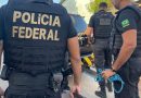 PF investiga grupo suspeito de tráfico de drogas na Paraíba